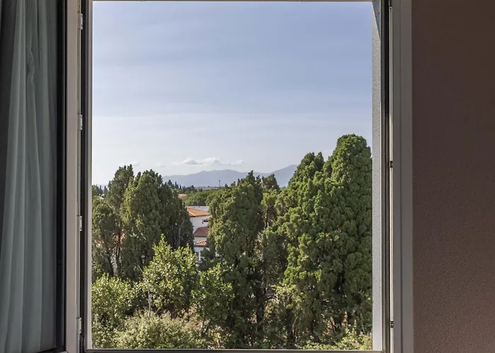 Sud Marche International 2*