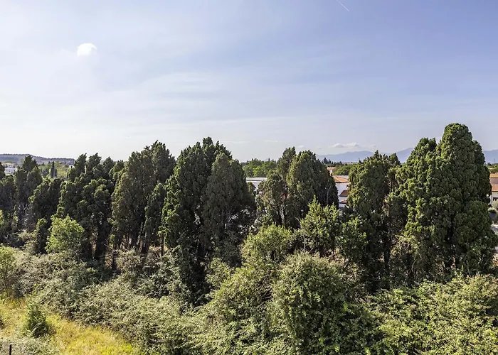 Hotel Sud Marche International 2*